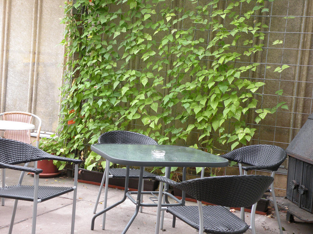 Apartments Schramm Eisenach Extérieur photo